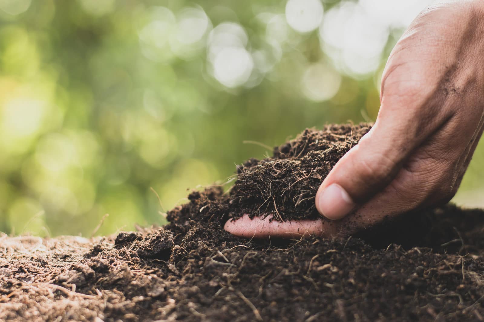 le compost une ressource riche et ecologique