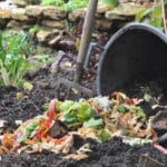vegetable-peelings-compost_100787-1337