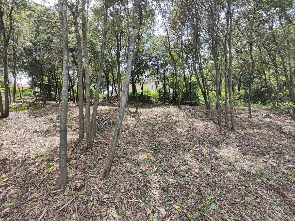 debroussaillement---prévention-incendie