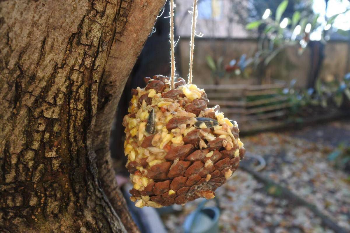 tuto boule-de-graisse